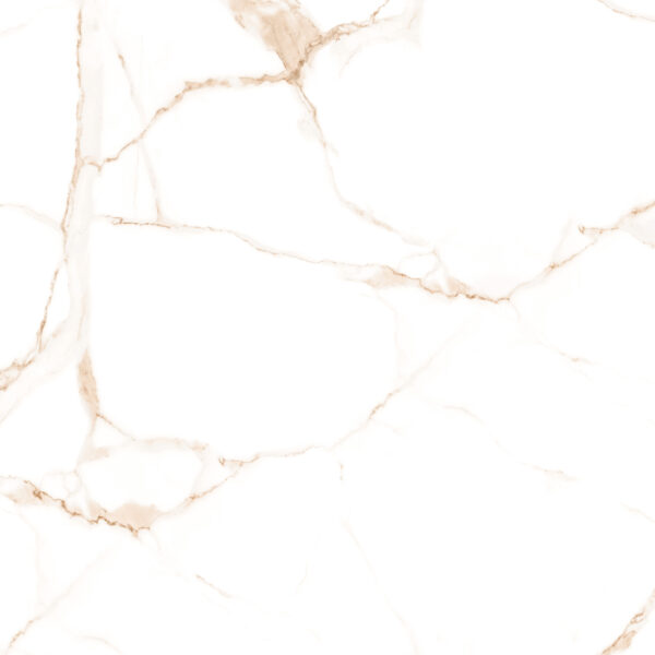 Happy Floors Alsacia 24" x 24" Porcelain Tile