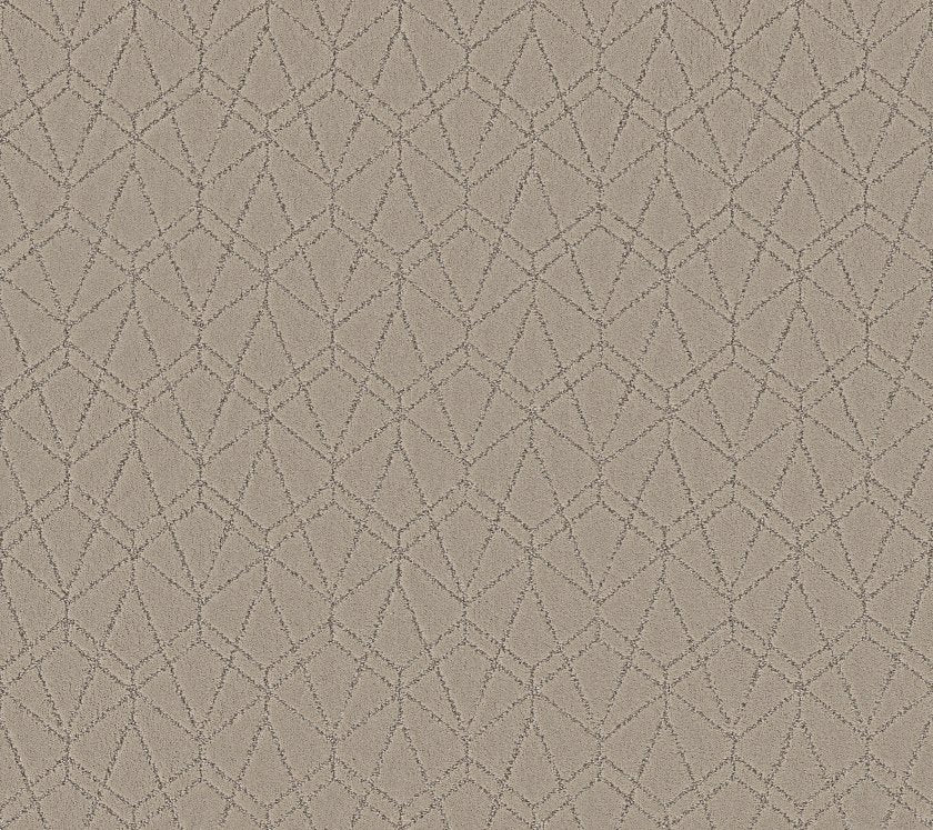 Shaw Floors Point Of View 12' x 125' Carpet Roll – Luxe Floor Studio