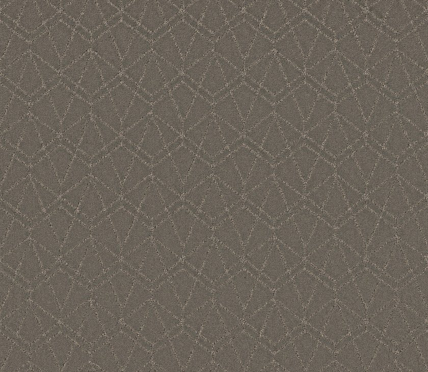 Shaw Floors Point Of View 12' x 125' Carpet Roll – Luxe Floor Studio
