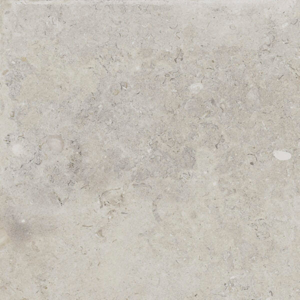 Happy Floors Coralina 24" x 24" Porcelain Tile