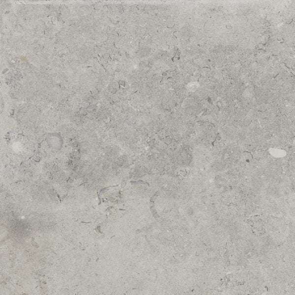Happy Floors Coralina 24" x 24" Porcelain Tile
