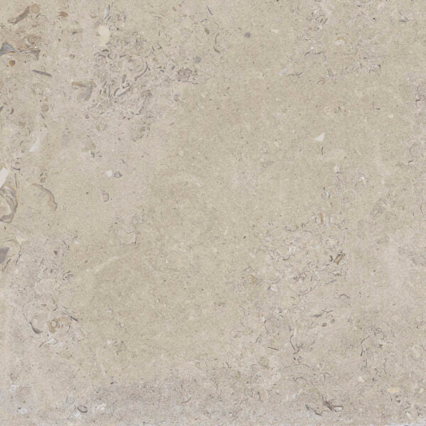 Happy Floors Coralina 24" x 24" Porcelain Tile