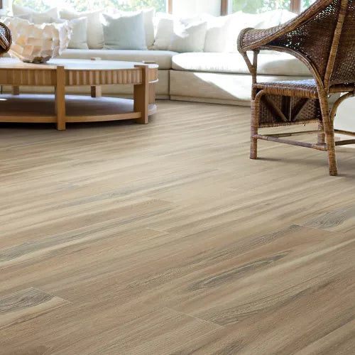 Mohawk SolidTech Select Explorer's Cove 7