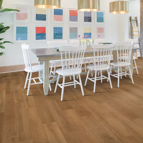 Mohawk SolidTech Select Explorer's Cove 7