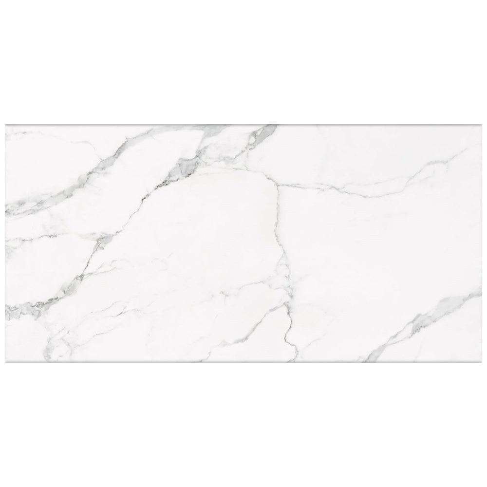 Happy Floors Statuario 24" x 48" Porcelain Tile