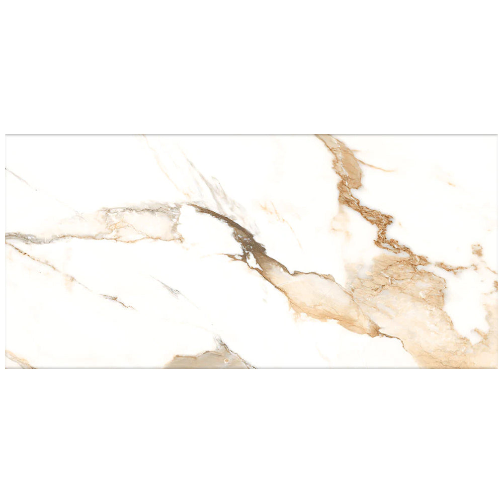 Happy Floors Crash 24" x 48" Porcelain Tile