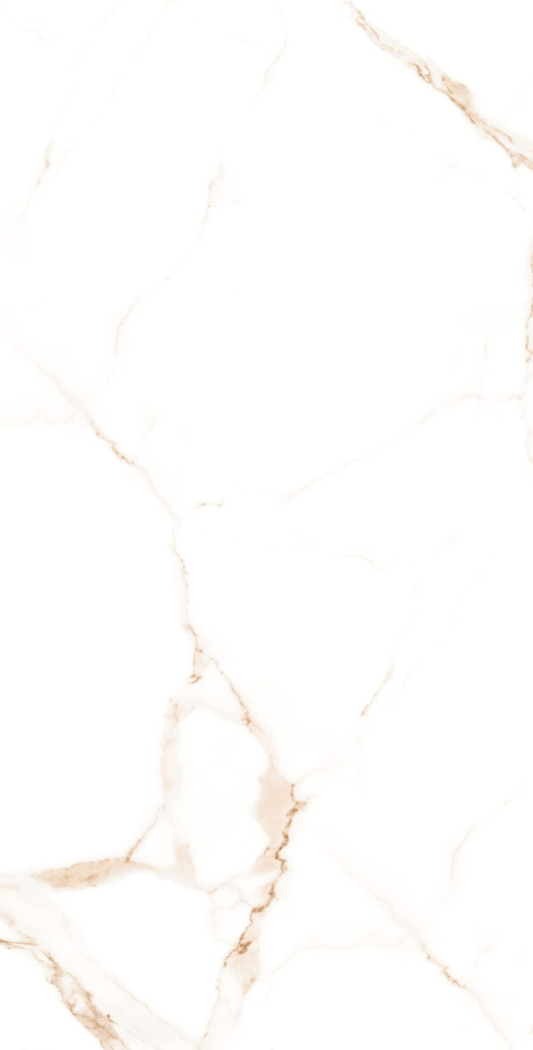 Happy Floors Alsacia 12" x 24" Porcelain Tile