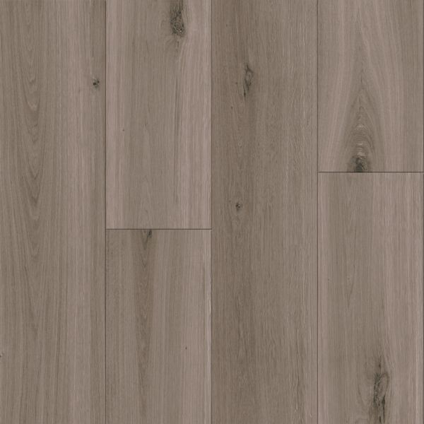 Armstrong Biome 6" x 48" Montane Natterhorn Vinyl Plank