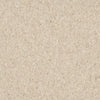Armstrong Premium Excelon Crown Texture 12" x 12" Silk Vinyl Tile