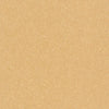 Armstrong Premium Excelon Crown Texture 12" x 12" Linseed Vinyl Tile