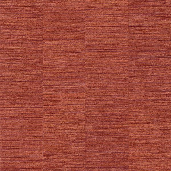 Armstrong Theorem 6" x 36" Algebra 1 Einstein Vinyl Plank