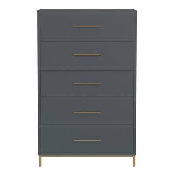 Benjara Max 48 Inch 5 Drawer Tall Dresser Chest, Brass Metal Frame, Slate Gray