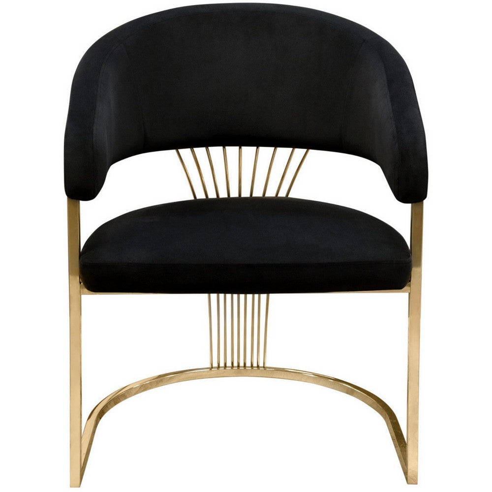 Benjara Emy 26 Inch Cantilever Barrel Dining Chair, Black Velvet Upholstery, Gold