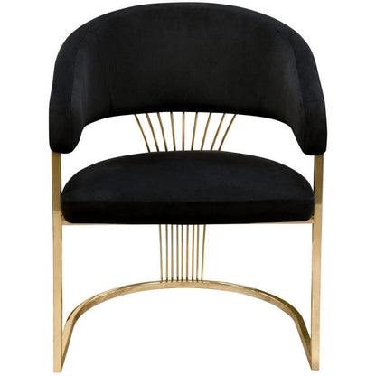 Benjara Emy 26 Inch Cantilever Barrel Dining Chair, Black Velvet Upholstery, Gold