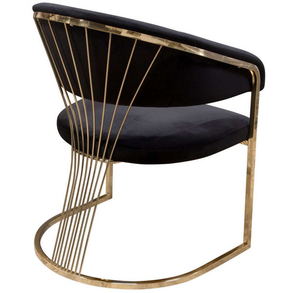 Benjara Emy 26 Inch Cantilever Barrel Dining Chair, Black Velvet Upholstery, Gold
