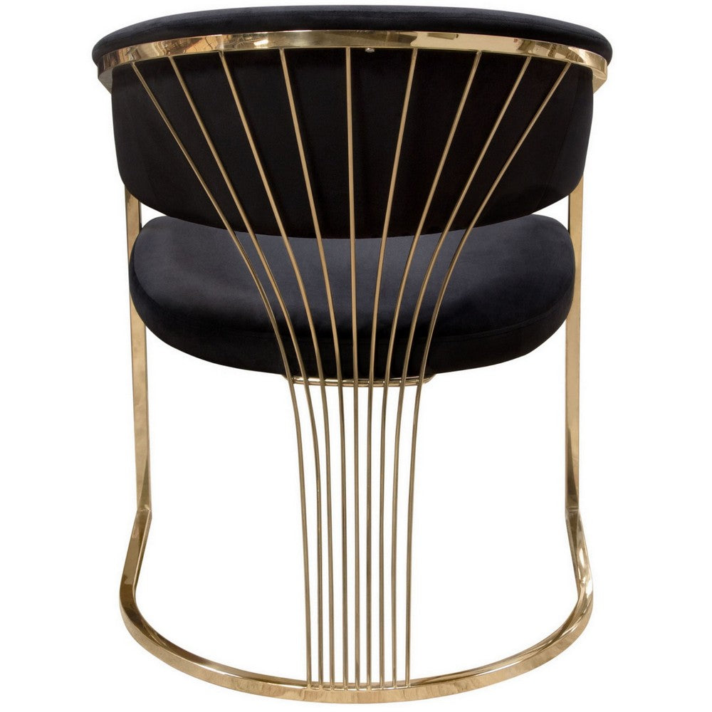 Benjara Emy 26 Inch Cantilever Barrel Dining Chair, Black Velvet Upholstery, Gold