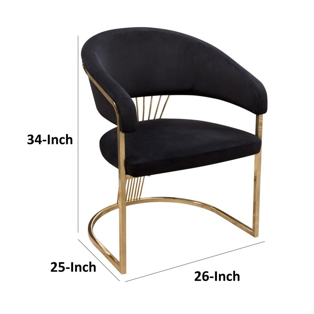 Benjara Emy 26 Inch Cantilever Barrel Dining Chair, Black Velvet Upholstery, Gold