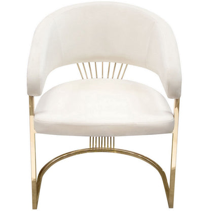 Benjara Emy 26 Inch Cantilever Barrel Dining Chair, Cream Velvet Upholstery, Gold