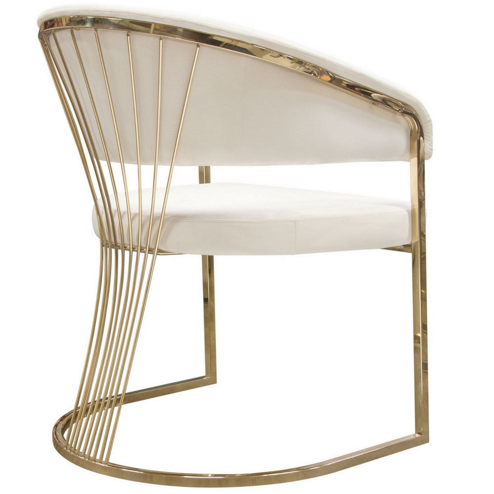 Benjara Emy 26 Inch Cantilever Barrel Dining Chair, Cream Velvet Upholstery, Gold
