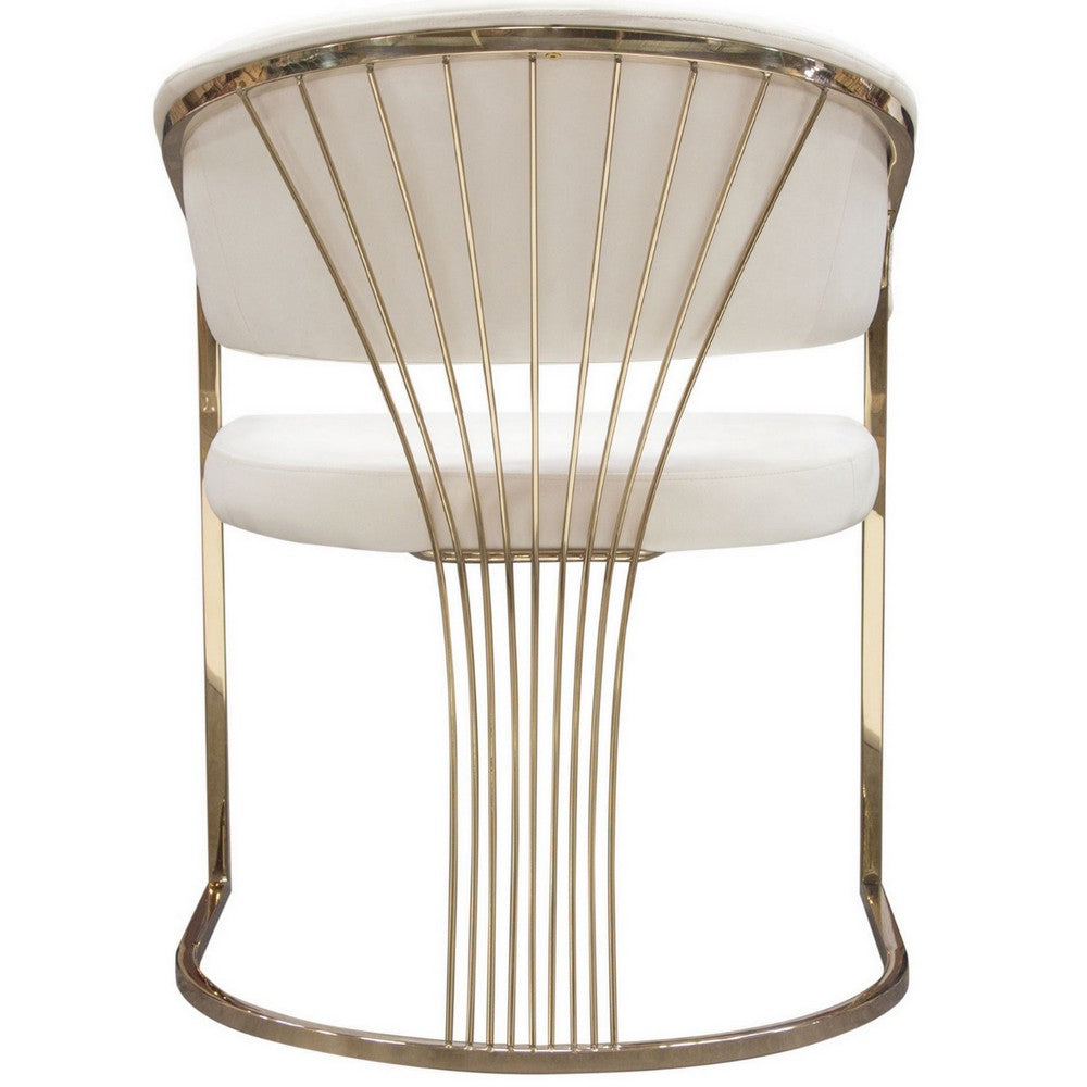 Benjara Emy 26 Inch Cantilever Barrel Dining Chair, Cream Velvet Upholstery, Gold