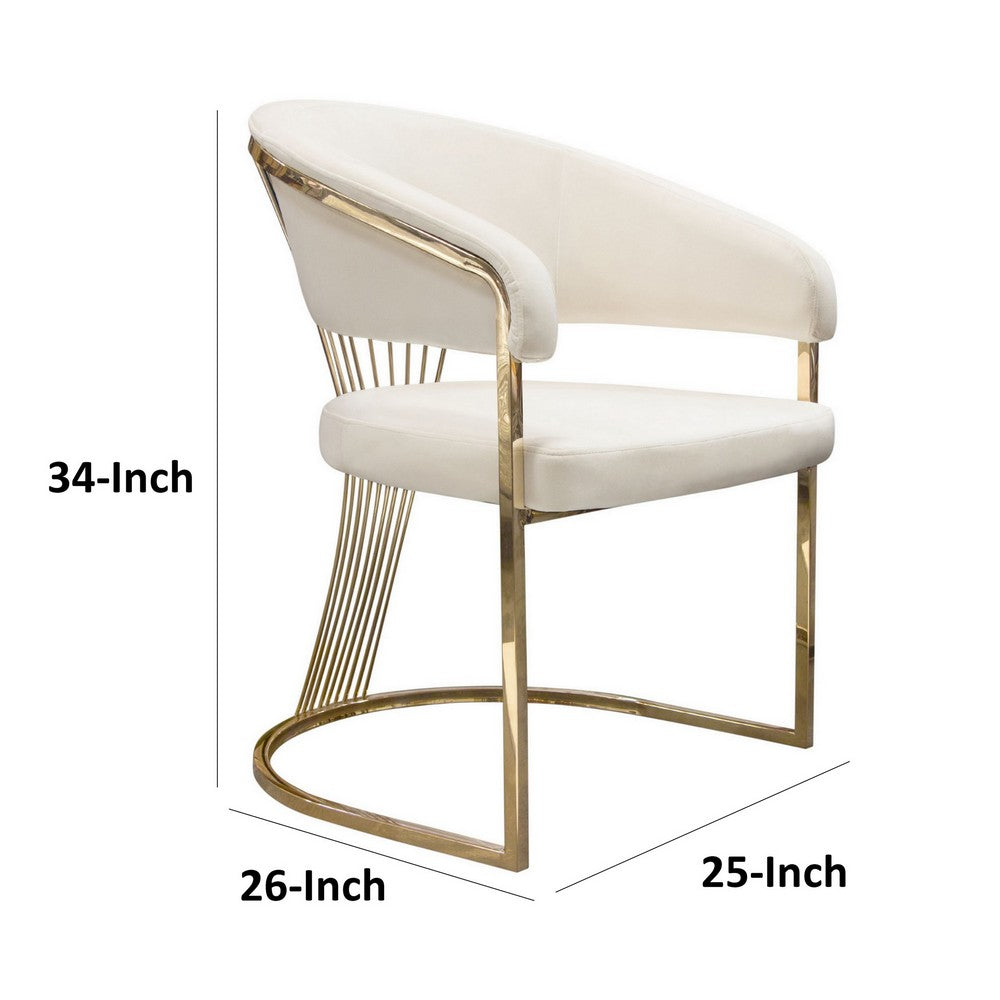 Benjara Emy 26 Inch Cantilever Barrel Dining Chair, Cream Velvet Upholstery, Gold