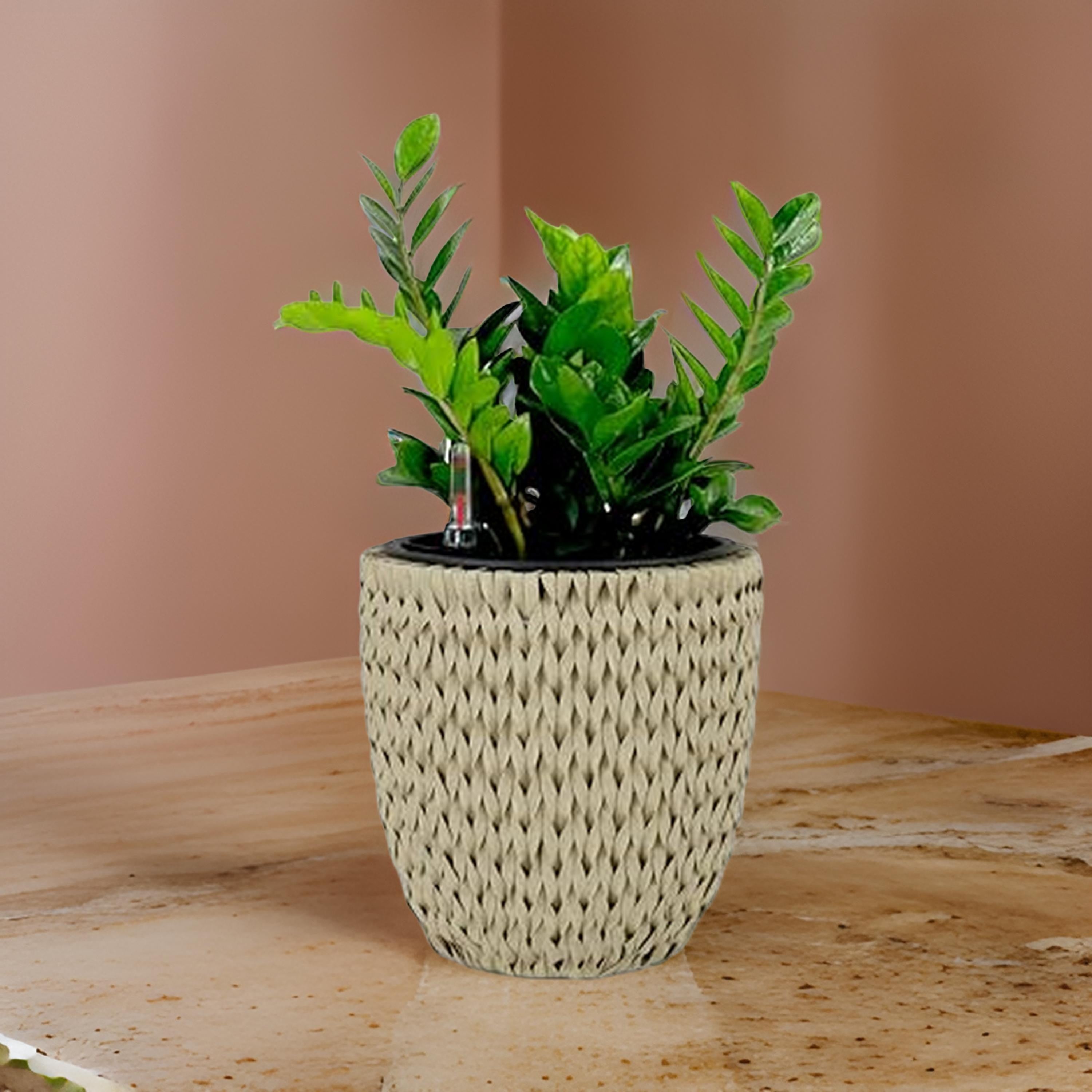 Benjara Wiki 15 Inch Self Watering Planter, Handwoven Rattan Wicker, Beige