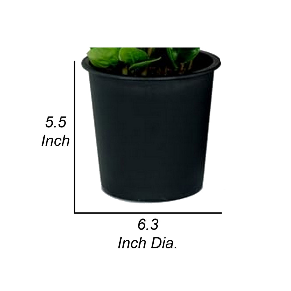Benjara Kiti 6 Inch Set of 5 Round Nursery Planter Pots with Drainage Black Plastic
