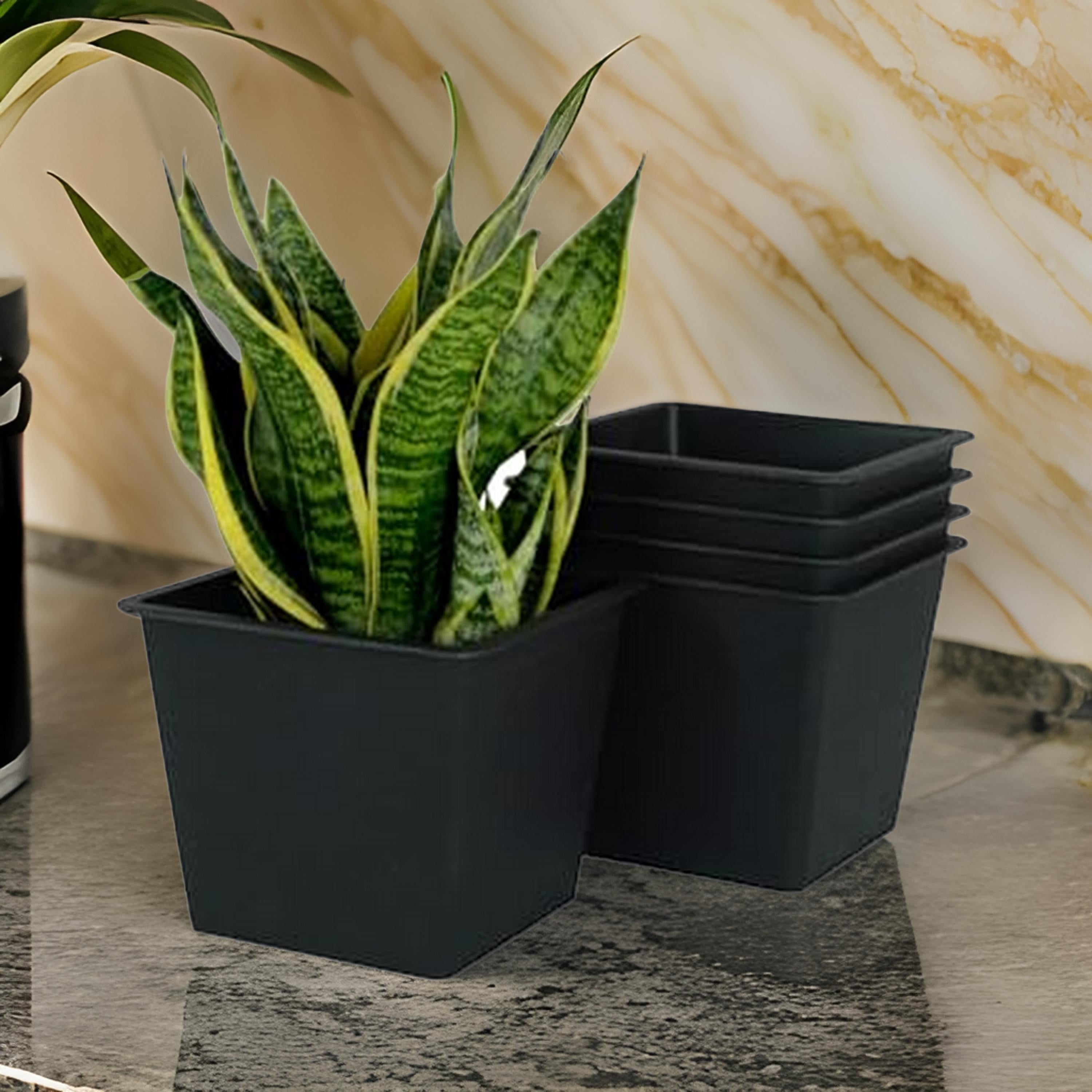 Benjara Kiti 8 Inch Set of 5 Square Nursery Planter Pots with Drainage, Black