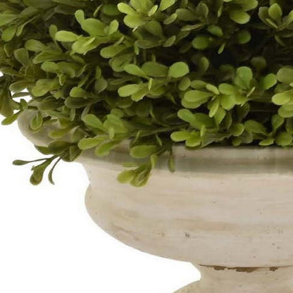 Benjara 15 Inch Faux Boxwood Topiary Plant in Urn Pedestal Pot, Off White Planter
