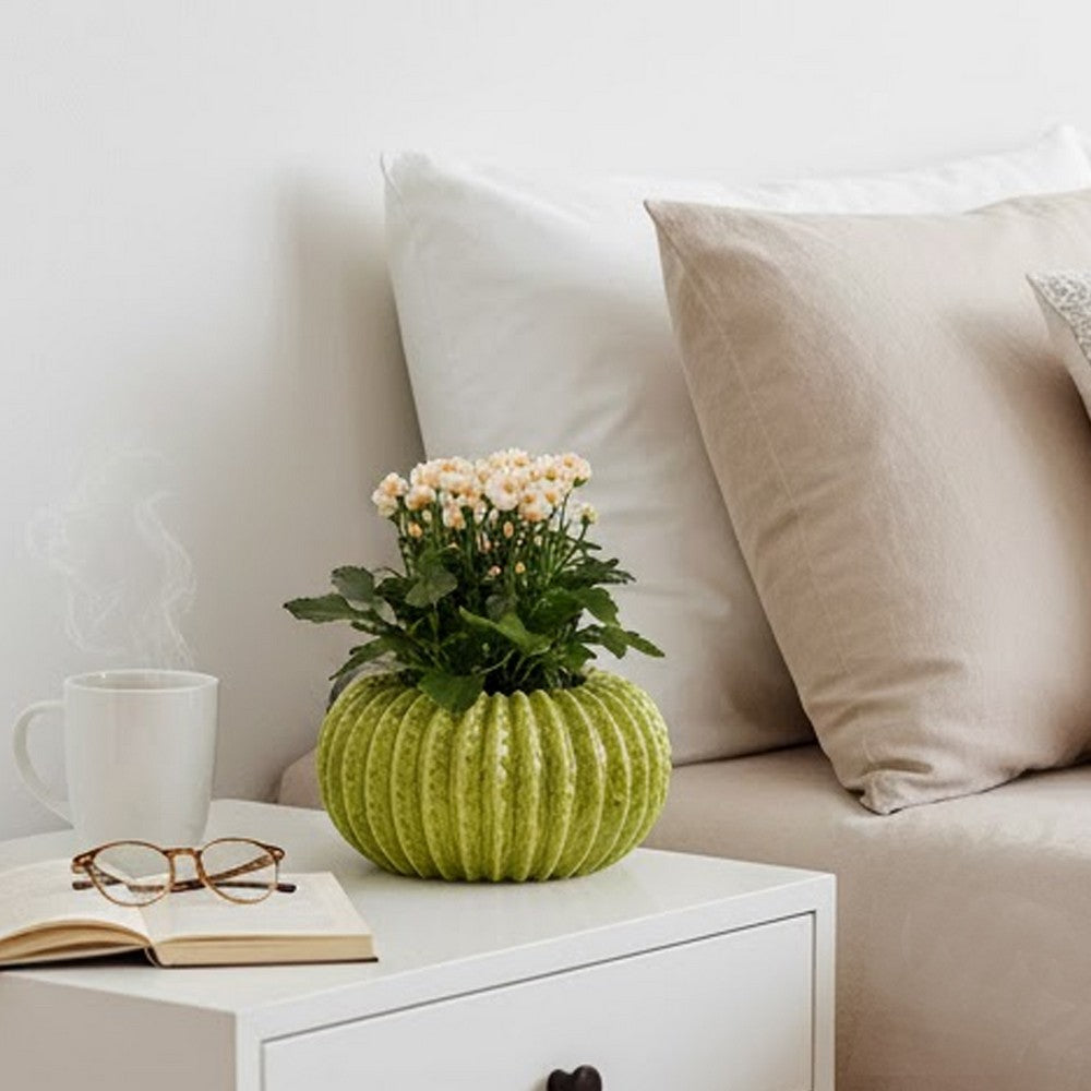 Benjara Decorative Planter, Melon Shape, Vertical Ribbed Texture, Green Ceramic