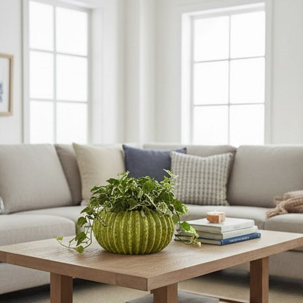 Benjara Decorative Planter, Melon Shape, Vertical Ribbed Texture, Green Ceramic