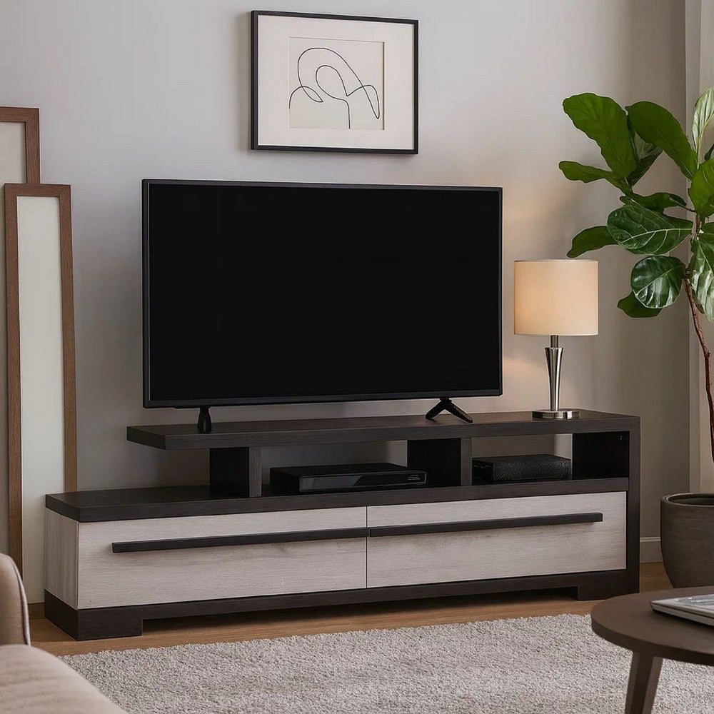 Benjara Ruthe TV Stand Media Cabinet with 2 Drawers, Shelves, Black And White Wood