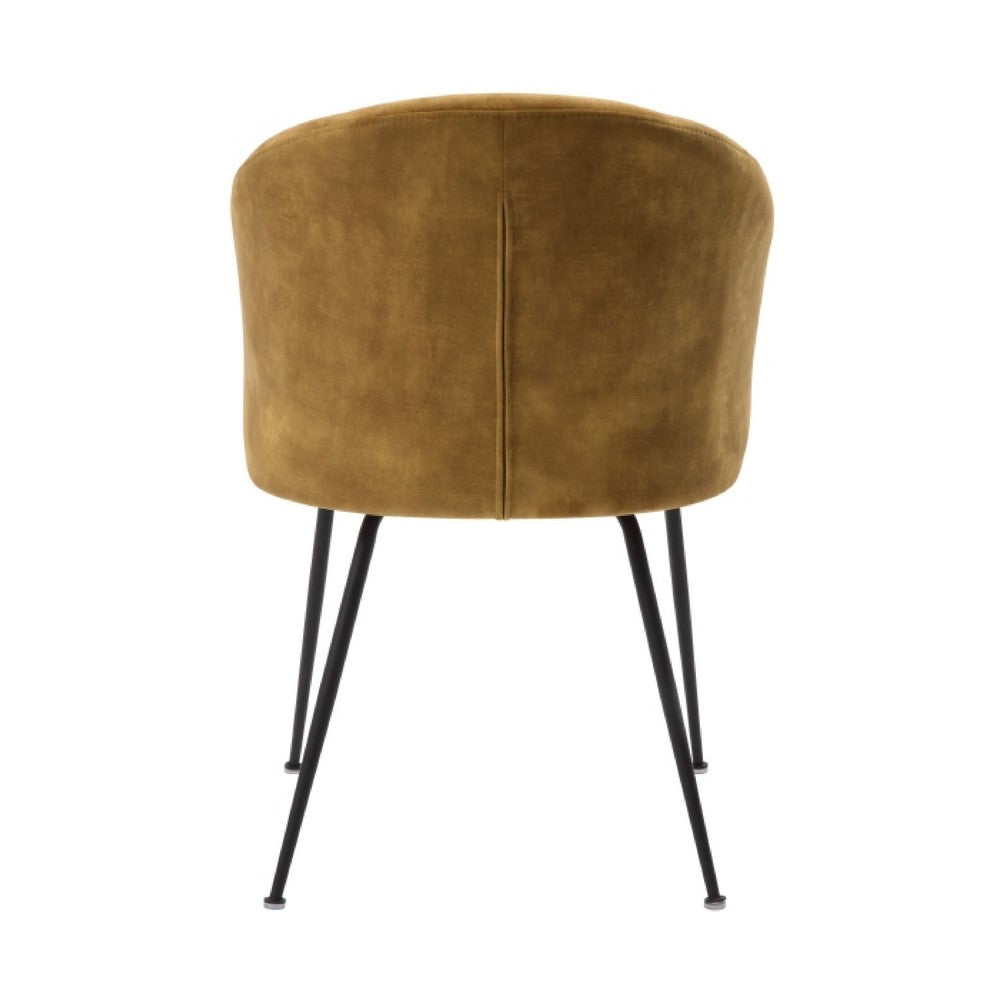 Benjara Salie Dining Chair Set of 2, Curved Back, Mustard Yellow Velvet, Black