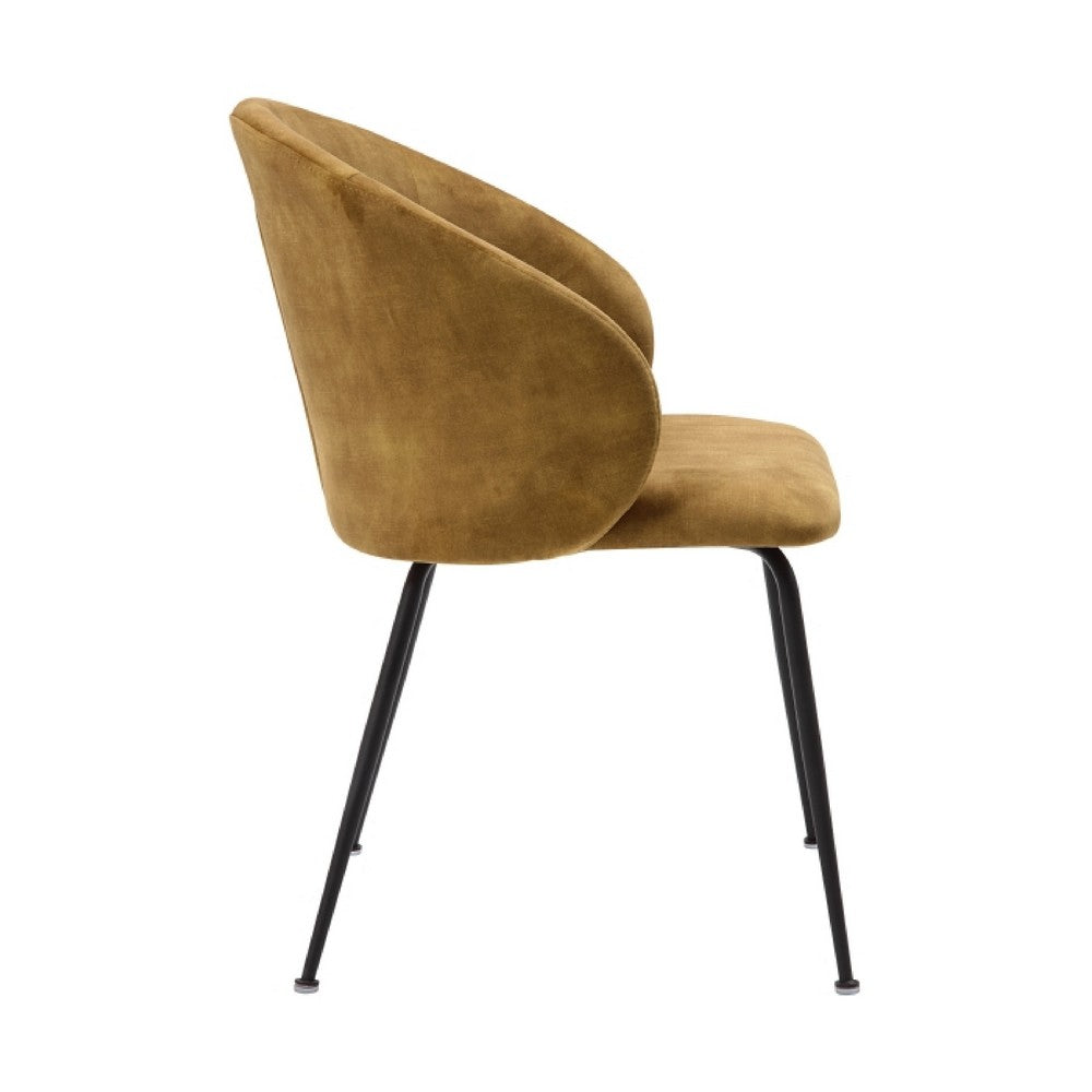 Benjara Salie Dining Chair Set of 2, Curved Back, Mustard Yellow Velvet, Black