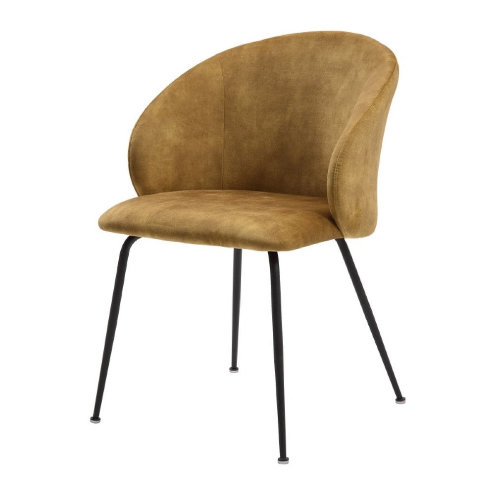 Benjara Salie Dining Chair Set of 2, Curved Back, Mustard Yellow Velvet, Black