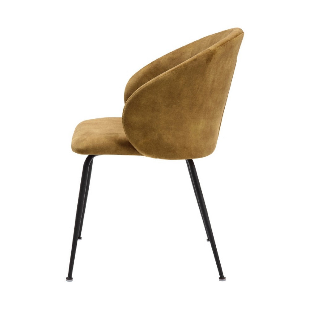 Benjara Salie Dining Chair Set of 2, Curved Back, Mustard Yellow Velvet, Black