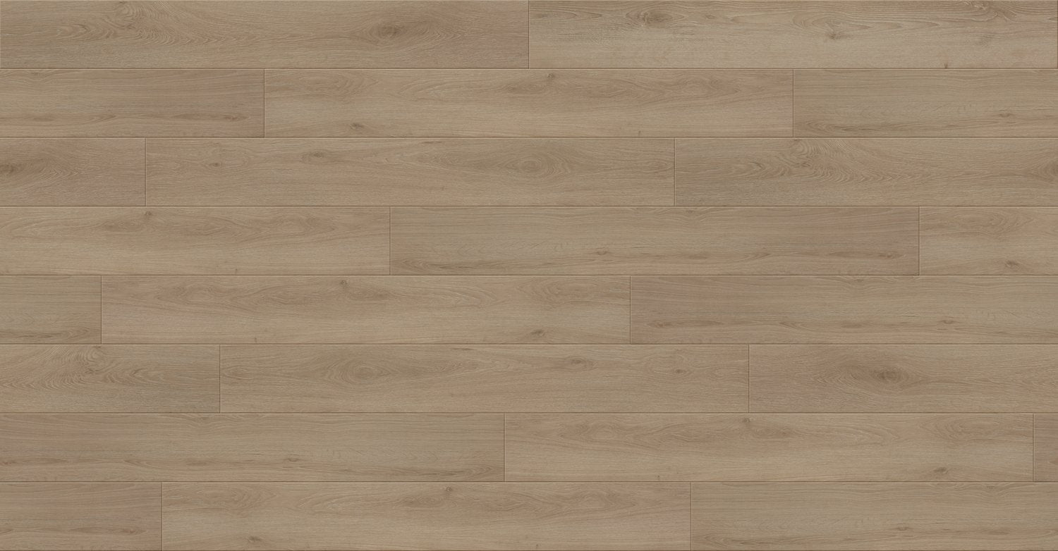 Primo Florz Primo Wood Plus 9.37" x 60" Laminate Plank Sherwood