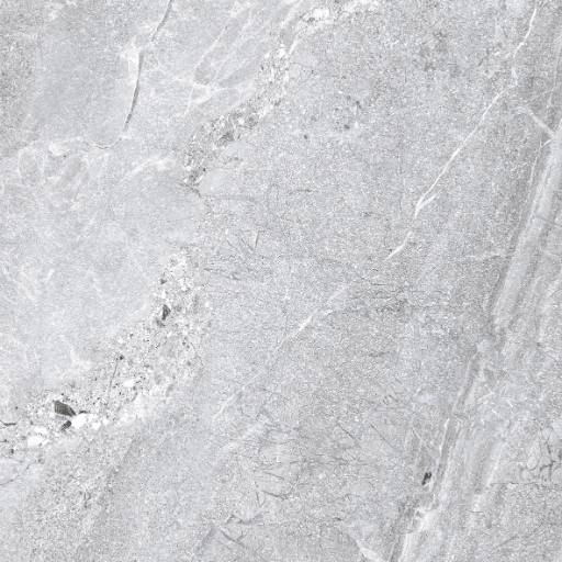 Happy Floors Agathos 24" x 24" Porcelain Paver
