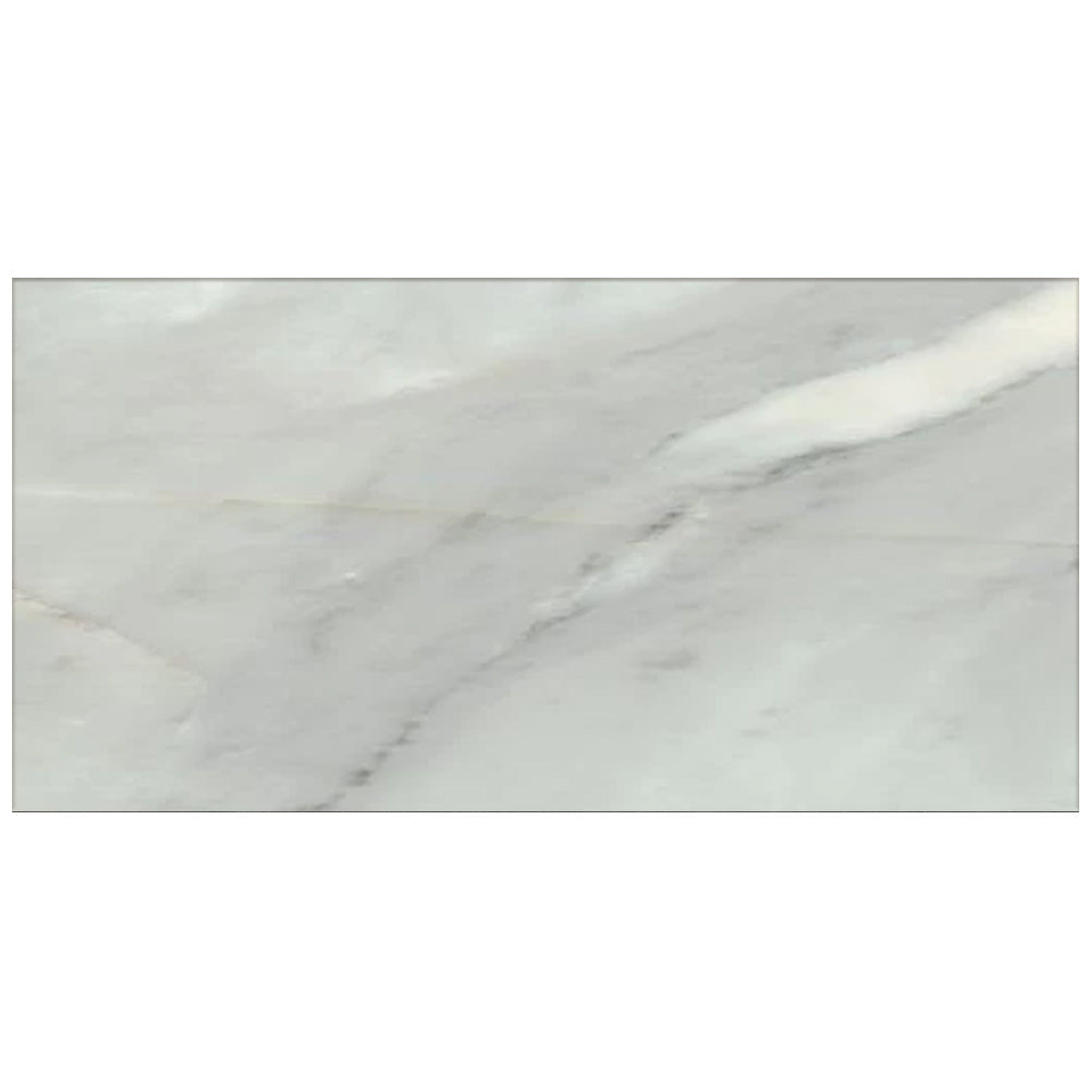 Happy Floors Bardiglio 16" x 32" Porcelain Tile (Closeout)