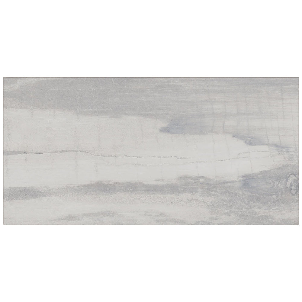 Happy Floors Fossil 12" x 24" Porcelain Tile