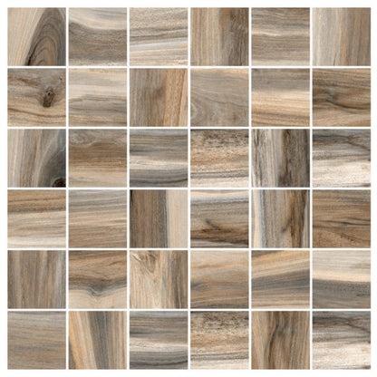 Happy Floors Tasmania 2 x 2 12" x 12" Porcelain Mosaic (Closeout)