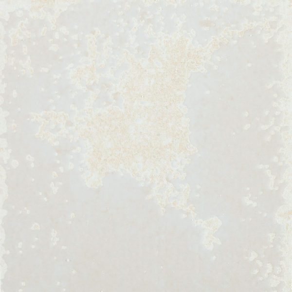 Happy Floors Vibrant 6" x 6" Porcelain Tile (Closeout)