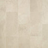 Mannington Adura Rigid Rectangle Meridian 12" x 24" Fossil Vinyl Tile