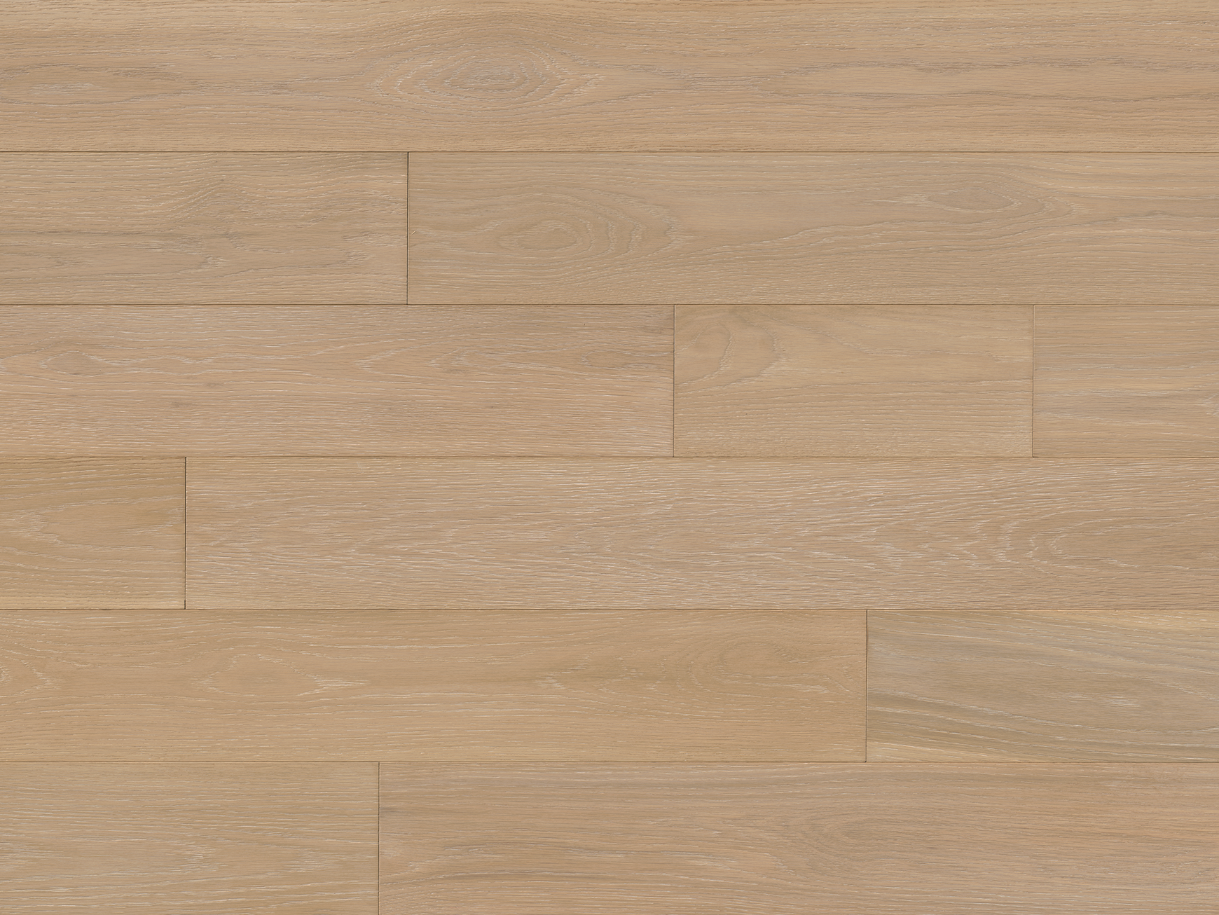 Reward Flooring Meadow 7" x RL White Oak Daisy Hardwood Plank