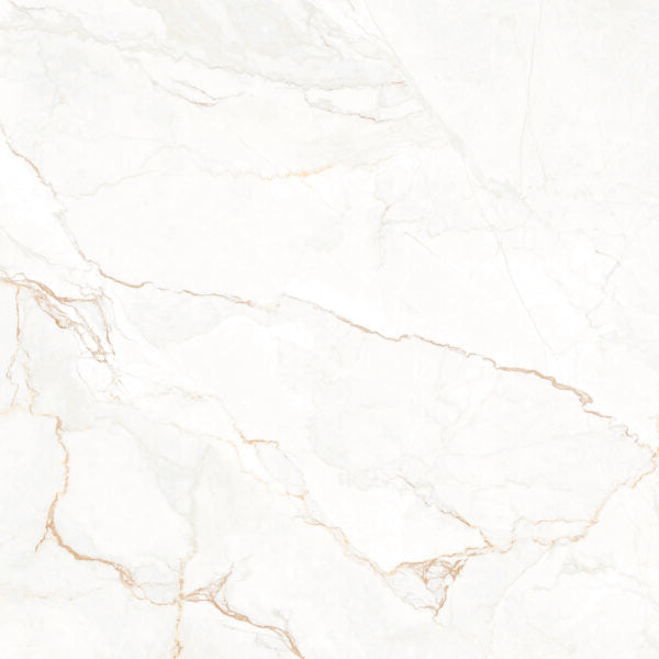 Happy Floors Statik 24" x 24" Porcelain Tile
