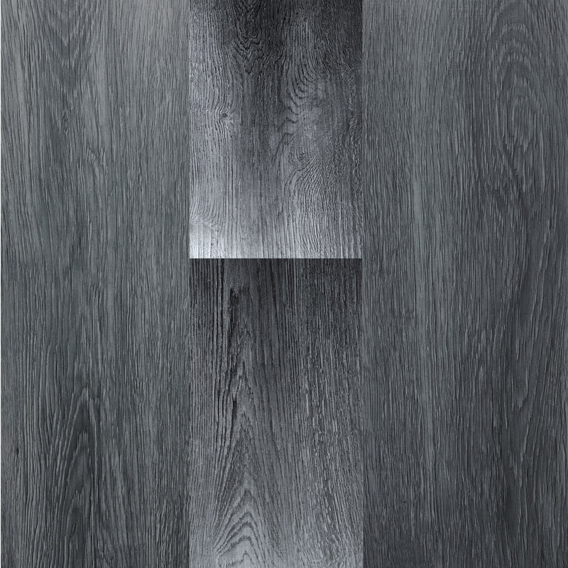 Signature Collection Coastal Ivory Coast II 5.75