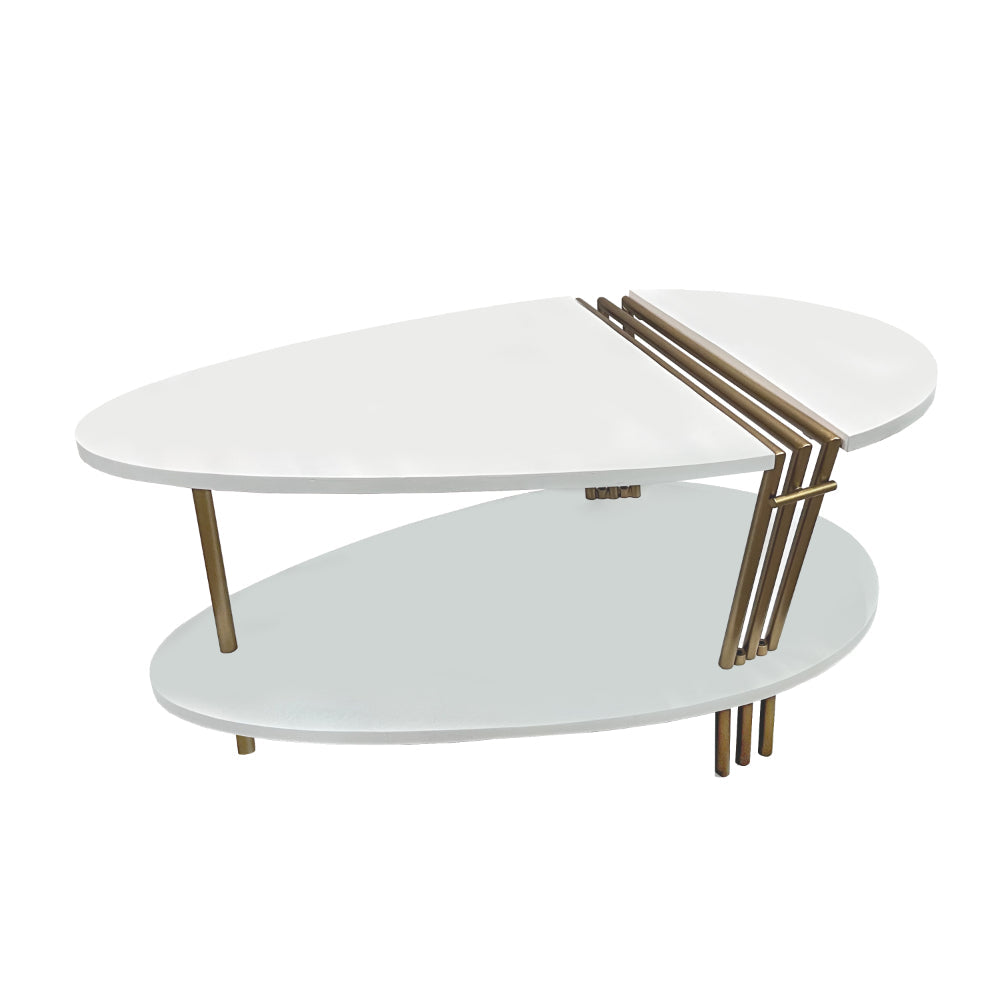 The Urban Port 36 Inch Modern Coffee Table, Oval Elliptical Shape, White Mango Wood With Antique Brass