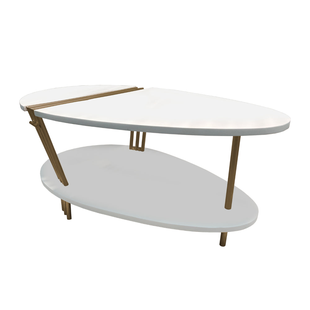The Urban Port 36 Inch Modern Coffee Table, Oval Elliptical Shape, White Mango Wood With Antique Brass