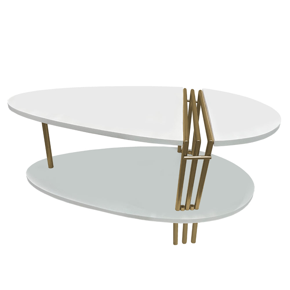The Urban Port 36 Inch Modern Coffee Table, Oval Elliptical Shape, White Mango Wood With Antique Brass