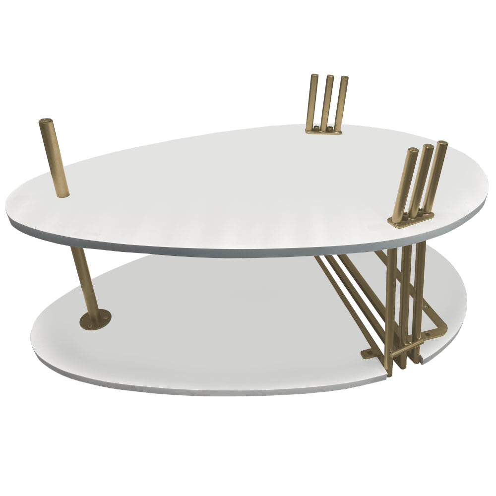 The Urban Port 36 Inch Modern Coffee Table, Oval Elliptical Shape, White Mango Wood With Antique Brass